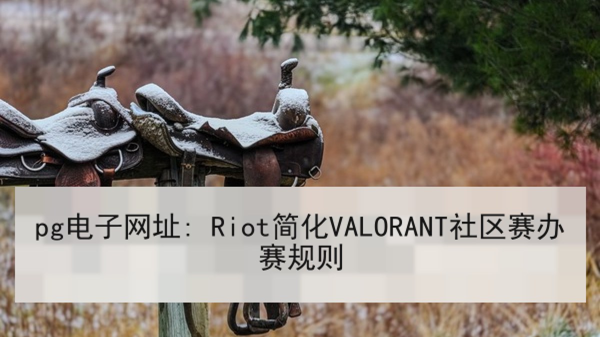 pg电子网址: Riot简化VALORANT社区赛办赛规则 pg电子网址: Riot简化VALORANT社区赛办赛规则