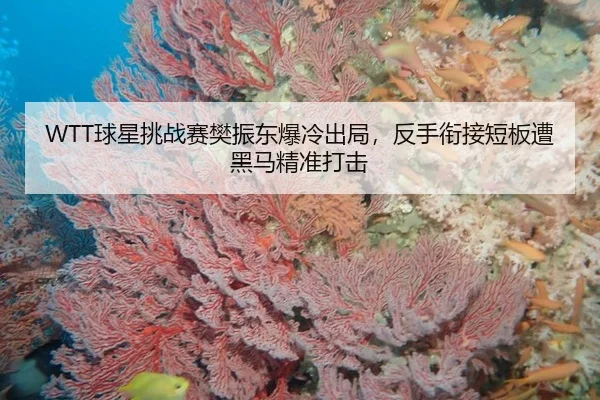 qiu-xing-tiao-zhan-sai-fan-zhen-dong-bao-leng-chu-ju-fan-shou-xian-jie-duan-ban-zao-hei-ma-jing-zhun-da-ji-3-877.jpg