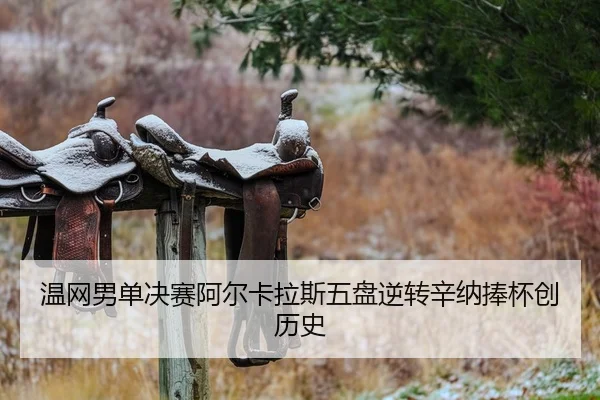温网男单决赛阿尔卡拉斯五盘逆转辛纳捧杯创历史